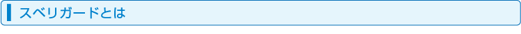 スベリガードとは